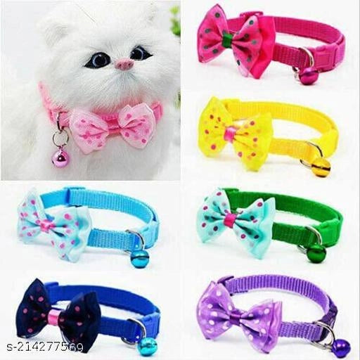 Collar Belt for Cat for (Multicolor, Pack of 2)
